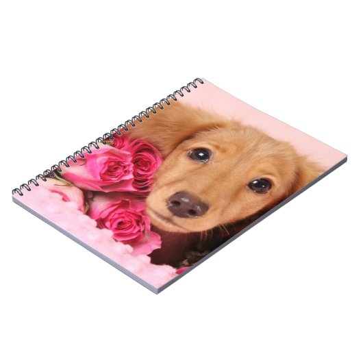 Dachshund Puppy Omringd door Rozen Notitieboek (Linkerzijde)