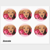 Dachshund Puppy Omringd door Rozen Ronde Sticker (Vel)