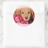 Dachshund Puppy Omringd door Rozen Ronde Sticker (Tas)
