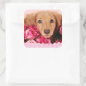 Dachshund Puppy Omringd door Rozen Vierkante Sticker (Tas)