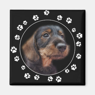 Dachshund Puppy Paw Prints Magneet