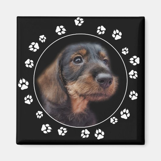 Dachshund Puppy Paw Prints Magneet (Voorkant)