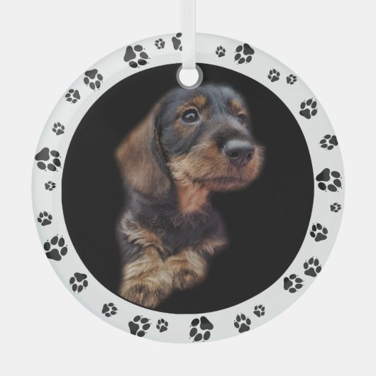 Dachshund Puppy Photo Paw Prins Glas Ornament (Voorkant)