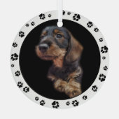 Dachshund Puppy Photo Paw Prins Glas Ornament (Achterkant)