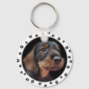 Dachshund Puppy Photo Sleutelhanger