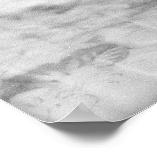 Dachshund Puppy Poster (Hoek)