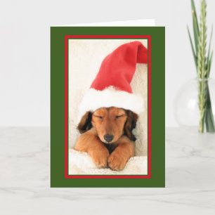 DACHSHUND PUPPY SLEEPING CHRISTMAS CARD FEESTDAGEN KAART