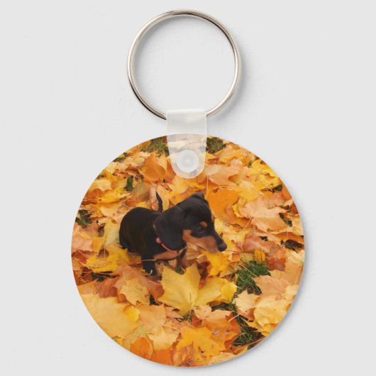 Dachshund puppy sleutelhanger (Voorkant)