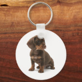 Dachshund Puppy Sleutelhanger (Voorkant)