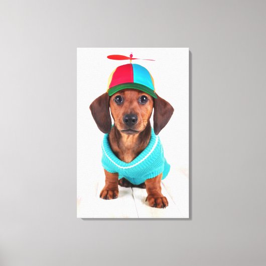 Dachshund Puppy Wearing Propeller Pet Canvas Afdruk (Voorkant)