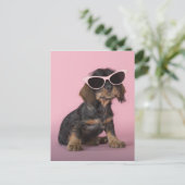 Dachshund Puppy Wearing Sunbril Briefkaart (Staand voorkant)