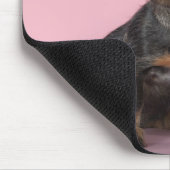 Dachshund Puppy Wearing Sunbril Muismat (Hoek)