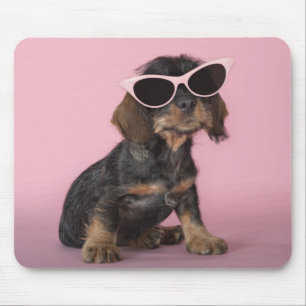 Dachshund Puppy Wearing Sunbril Muismat