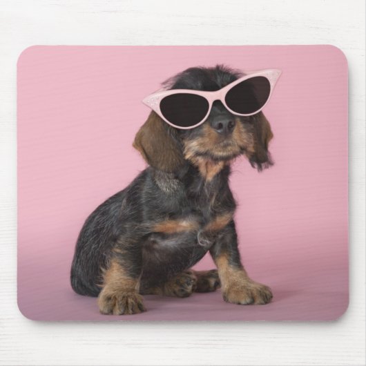Dachshund Puppy Wearing Sunbril Muismat (Voorkant)