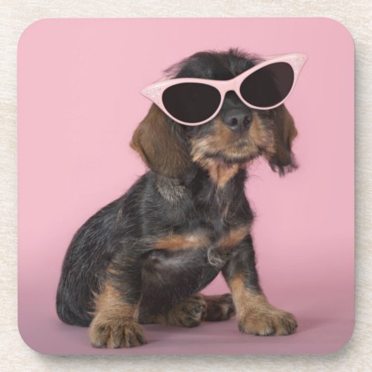 Dachshund Puppy Wearing Sunbril Onderzetter (Voorkant)