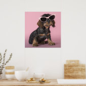 Dachshund Puppy Wearing Sunbril Poster (Keuken)