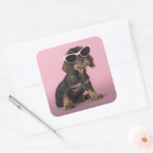 Dachshund Puppy Wearing Sunbril Vierkante Sticker (Envelop)