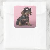 Dachshund Puppy Wearing Sunbril Vierkante Sticker (Tas)