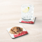 Dachshund Puppy Wearing Valentijns outfit Bier Onderzetter (Rechterzijde)