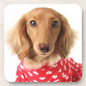 Dachshund Puppy Wearing Valentijns outfit Bier Onderzetter (Voorkant)