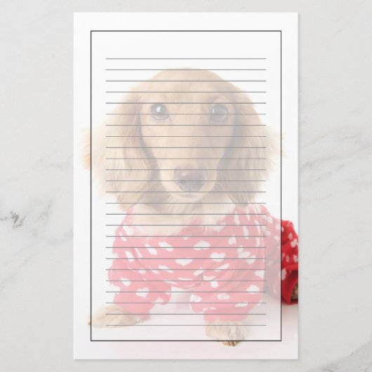 Dachshund Puppy Wearing Valentijns outfit Briefpapier (Voorkant)