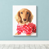 Dachshund Puppy Wearing Valentijns outfit Canvas Afdruk (Insitu (Houten vloer))