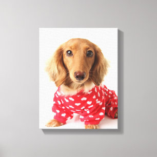 Dachshund Puppy Wearing Valentijns outfit Canvas Afdruk