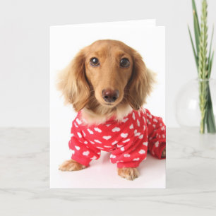 Dachshund Puppy Wearing Valentijns outfit Feestdagen Kaart