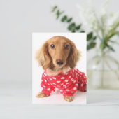 Dachshund Puppy Wearing Valentijns outfit Feestdagenkaart (Staand voorkant)