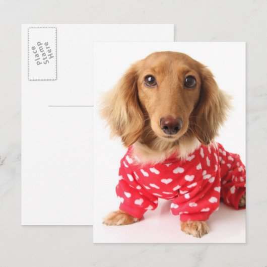 Dachshund Puppy Wearing Valentijns outfit Feestdagenkaart (Voorkant / Achterkant)