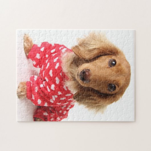 Dachshund Puppy Wearing Valentijns outfit Legpuzzel