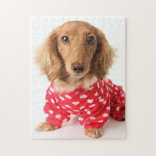 Dachshund Puppy Wearing Valentijns outfit Legpuzzel