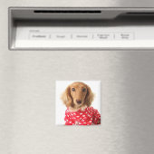 Dachshund Puppy Wearing Valentijns outfit Magneet (Insitu (Vaatwasser))