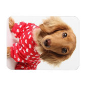 Dachshund Puppy Wearing Valentijns outfit Magneet (Horizontaal)
