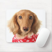 Dachshund Puppy Wearing Valentijns outfit Muismat (Met muis)