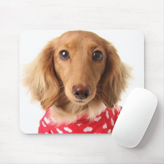 Dachshund Puppy Wearing Valentijns outfit Muismat (Met muis)