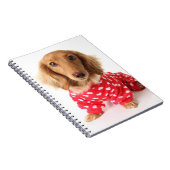 Dachshund Puppy Wearing Valentijns outfit Notitieboek (Rechterzijde)