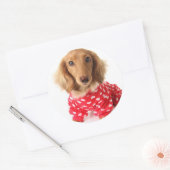 Dachshund Puppy Wearing Valentijns outfit Ronde Sticker (Envelop)