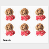 Dachshund Puppy Wearing Valentijns outfit Ronde Sticker (Vel)