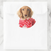 Dachshund Puppy Wearing Valentijns outfit Ronde Sticker (Tas)