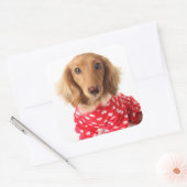 Dachshund Puppy Wearing Valentijns outfit Vierkante Sticker (Envelop)