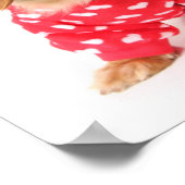 Dachshund Puppy Wearing Valentine's Outfit Poster (Hoek)