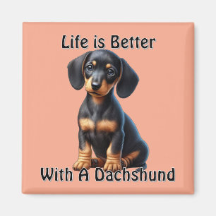 Dachshund Puppy Zit en Kijkt met Onschuldige Magneet