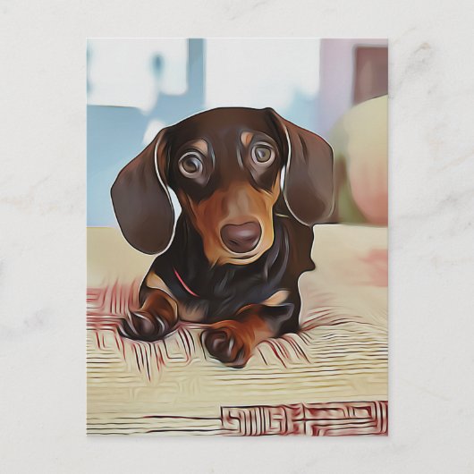 Dachshund Puppy zit op een sofa Briefkaart (Voorkant)