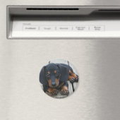 Dachshund Puppy Zwart Magneet (Insitu (Vaatwasser))
