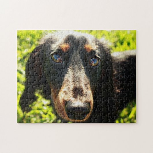 Dachshund Puzzle Legpuzzel (Horizontaal)