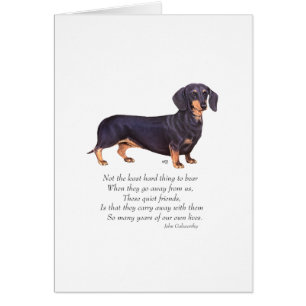 Dachshund Rainbow Bridge