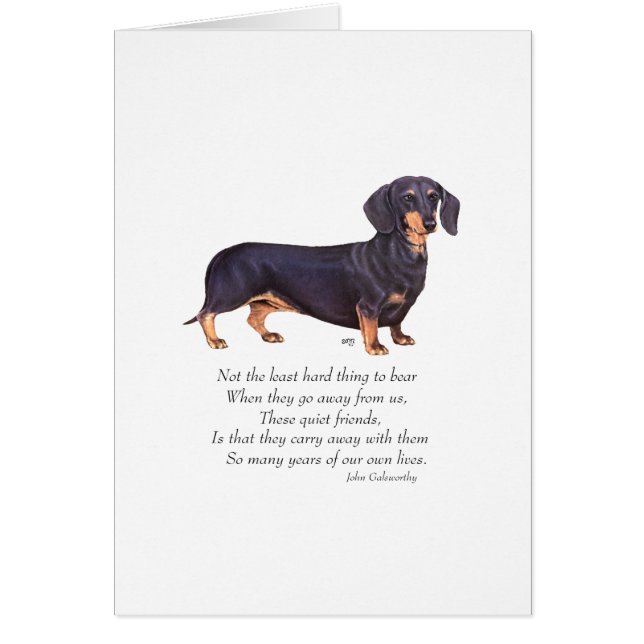 Dachshund Rainbow Bridge (Voorkant)