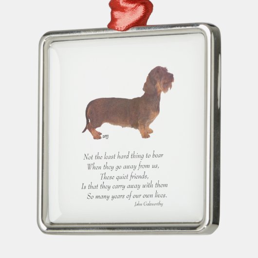 Dachshund Rainbow Bridge Metalen Ornament (Links)