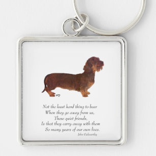 Dachshund Rainbow Bridge Sleutelhanger